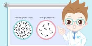 Sperm Count Is Low