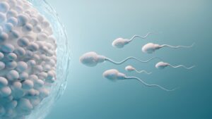sperm's inability to enter the egg