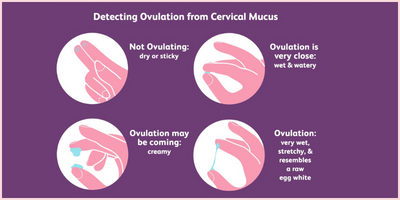 cervical incompetency cervical incompetency