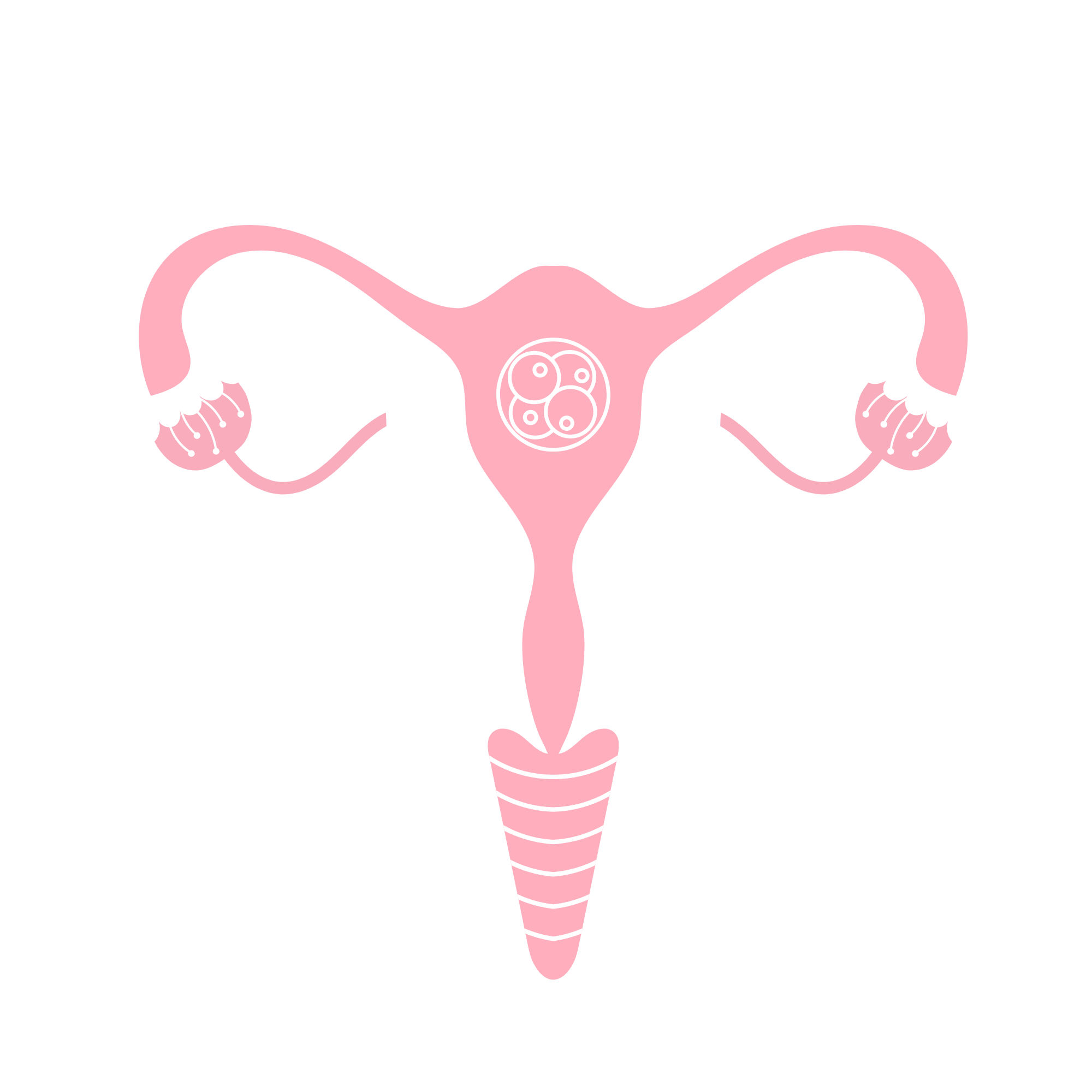 Embryo Transfer